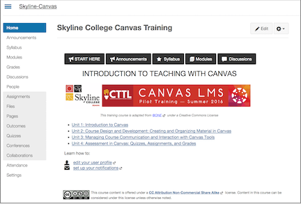 Skyline Canvas Training